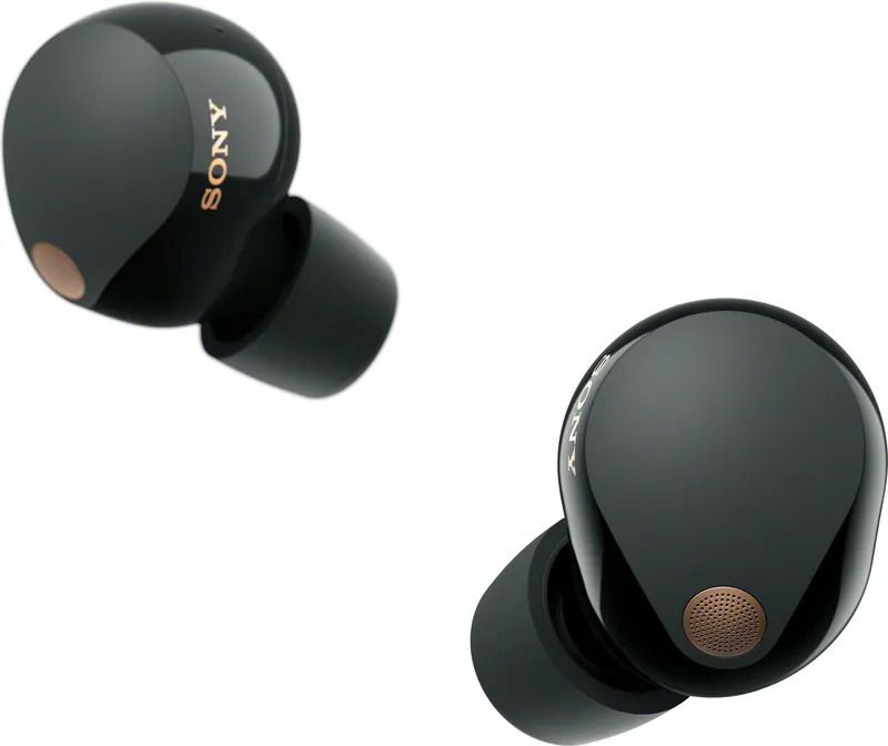 Compact black true-wireless earbuds beside charging case